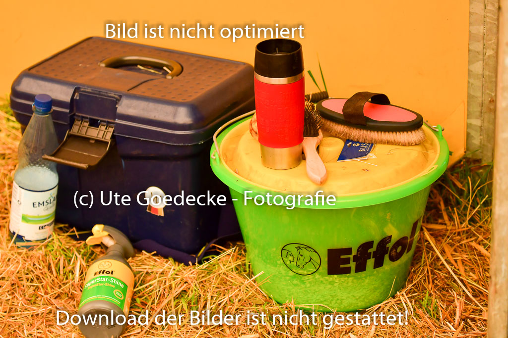 Goldene Schärpe PFerde  in Löningen  11+12.6.22 | 22062022 Impressionen_072 