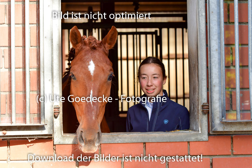 Goldene Schärpe PFerde  in Löningen  11+12.6.22 | 22062022 Impressionen_074 