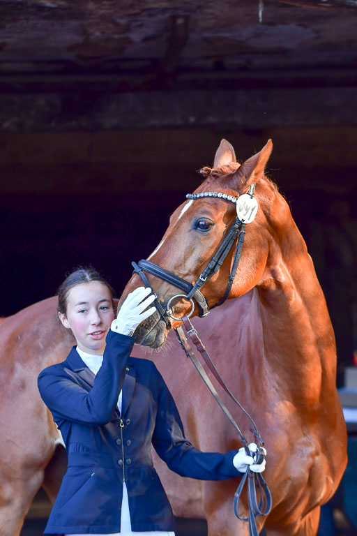 Goldene Schärpe PFerde  in Löningen  11+12.6.22 | 22062022 Impressionen_091 
