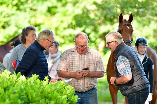 Goldene Schärpe PFerde  in Löningen  11+12.6.22 | 22062022 Impressionen_098 