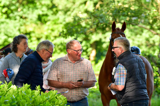 Goldene Schärpe PFerde  in Löningen  11+12.6.22 | 22062022 Impressionen_099 