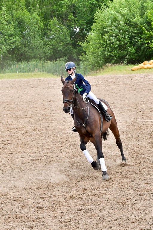 Goldene Schärpe PFerde  in Löningen  11+12.6.22 | 12062022 Siegerehrung_222 