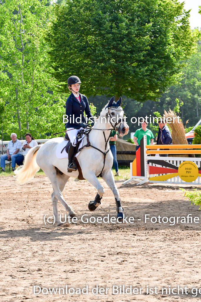 Goldene Schärpe PFerde  in Löningen  11+12.6.22 | 12062022 Springen 1 Abt_075 