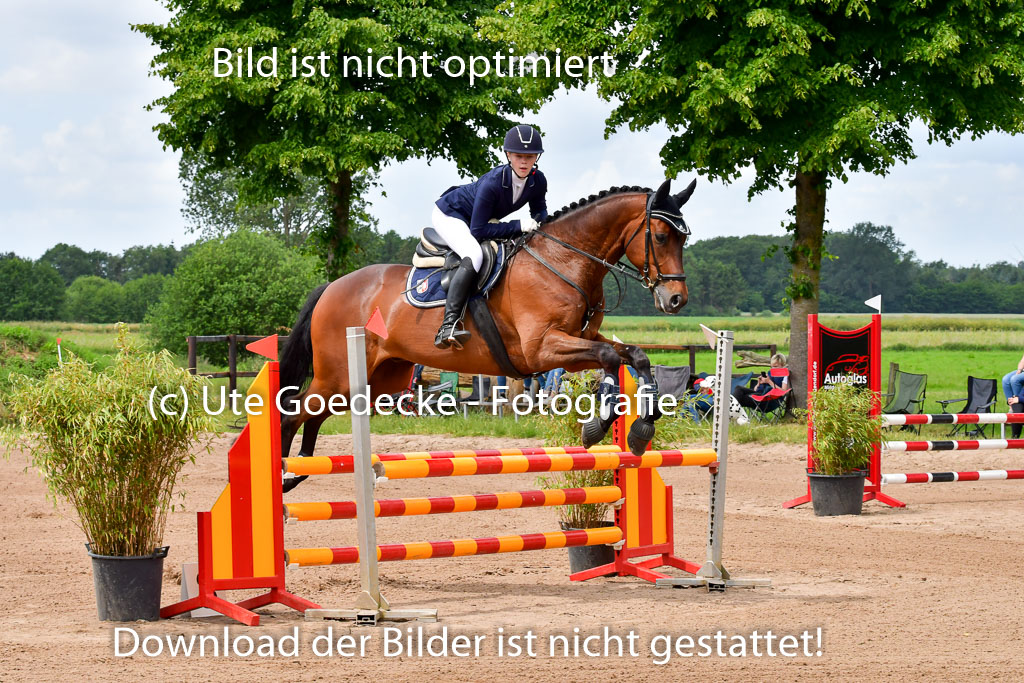 Goldene Schärpe PFerde  in Löningen  11+12.6.22 | 22062022 Springen 2 Abt _005