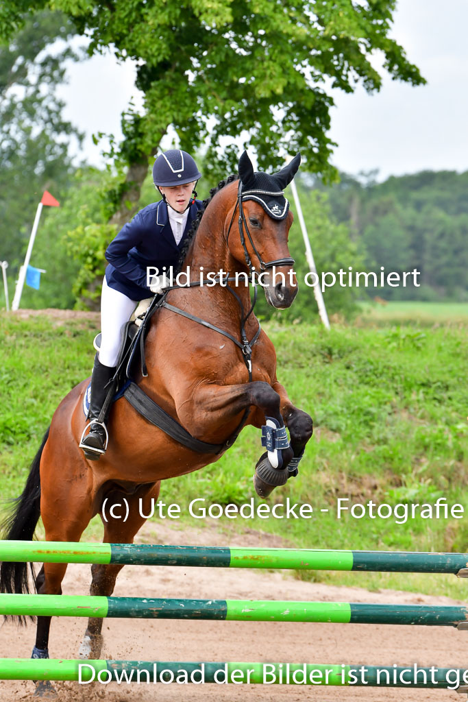 Goldene Schärpe PFerde  in Löningen  11+12.6.22 | 22062022 Springen 2 Abt _006