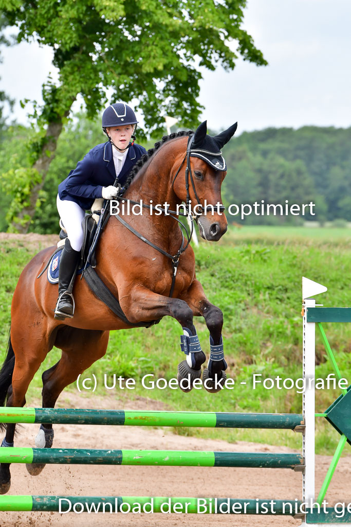 Goldene Schärpe PFerde  in Löningen  11+12.6.22 | 22062022 Springen 2 Abt _007