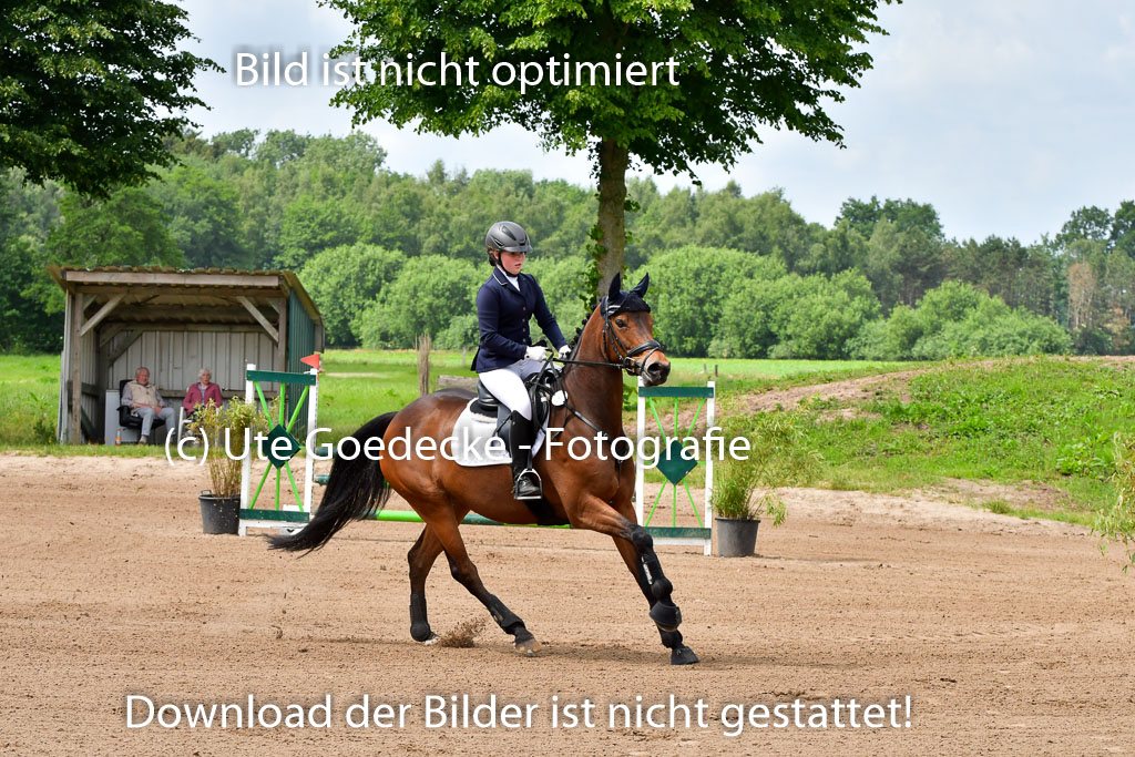 Goldene Schärpe PFerde  in Löningen  11+12.6.22 | 22062022 Springen 2 Abt _016