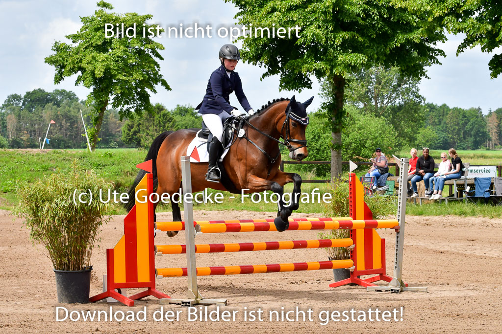 Goldene Schärpe PFerde  in Löningen  11+12.6.22 | 22062022 Springen 2 Abt _017