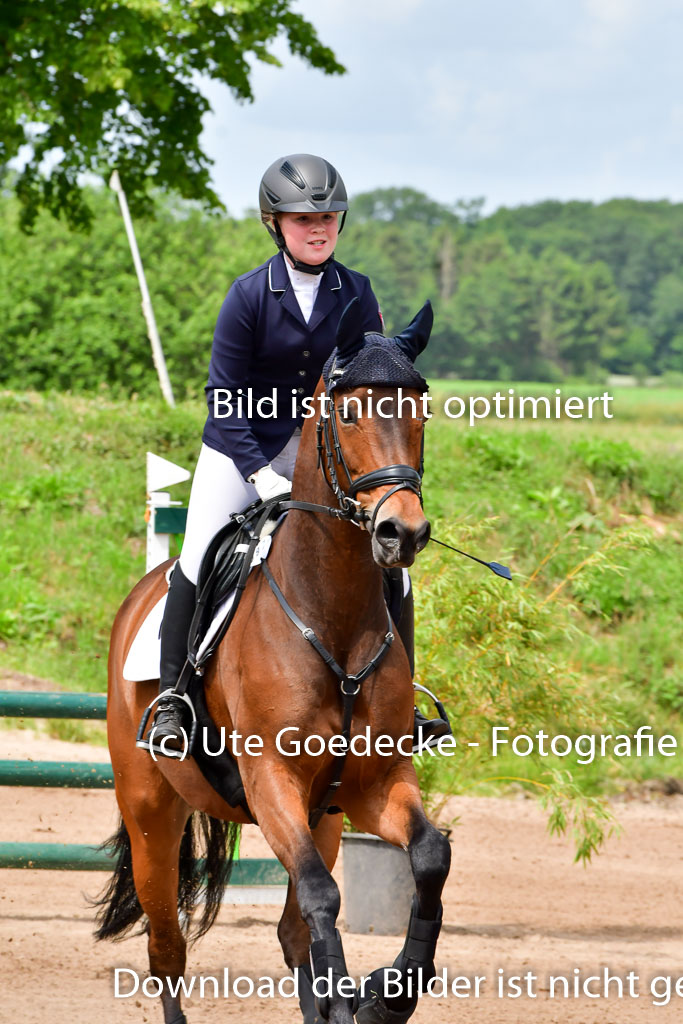 Goldene Schärpe PFerde  in Löningen  11+12.6.22 | 22062022 Springen 2 Abt _019