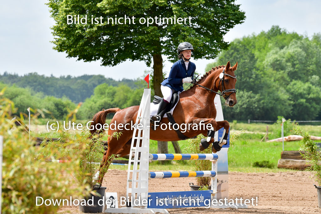 Goldene Schärpe PFerde  in Löningen  11+12.6.22 | 22062022 Springen 2 Abt _024