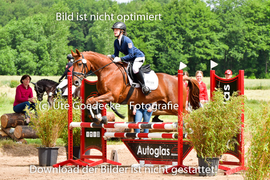 Goldene Schärpe PFerde  in Löningen  11+12.6.22 | 22062022 Springen 2 Abt _031