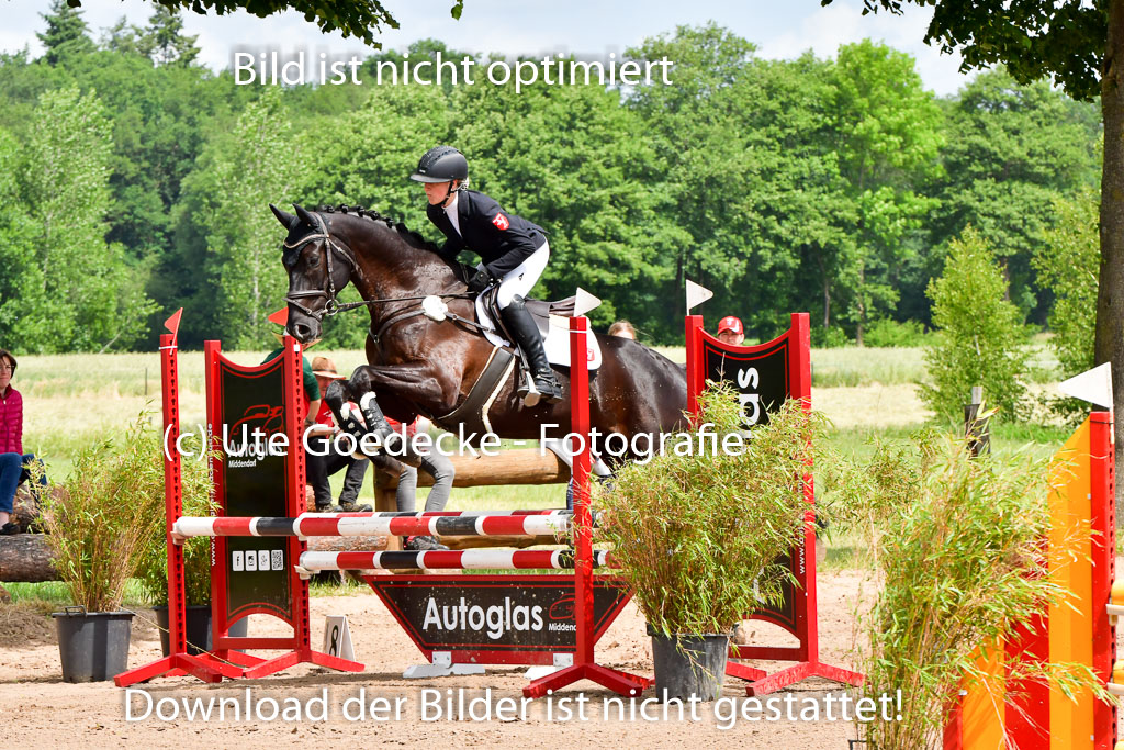 Goldene Schärpe PFerde  in Löningen  11+12.6.22 | 22062022 Springen 2 Abt _041