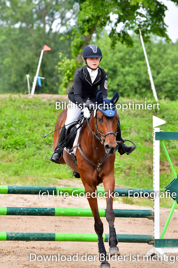 Goldene Schärpe PFerde  in Löningen  11+12.6.22 | 22062022 Springen 2 Abt _050