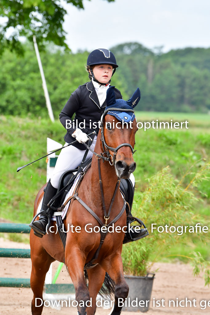 Goldene Schärpe PFerde  in Löningen  11+12.6.22 | 22062022 Springen 2 Abt _051