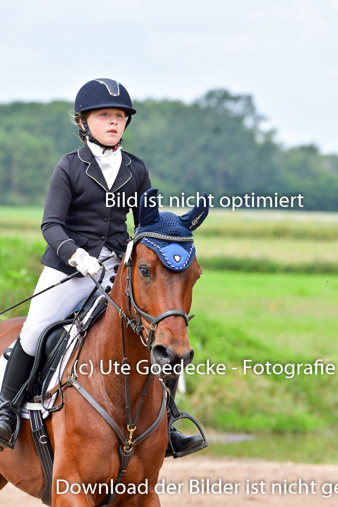 Goldene Schärpe PFerde  in Löningen  11+12.6.22 | 22062022 Springen 2 Abt _052