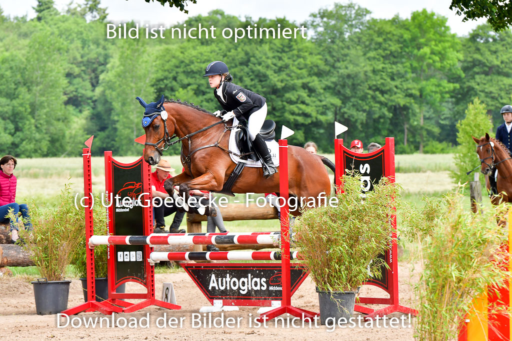 Goldene Schärpe PFerde  in Löningen  11+12.6.22 | 22062022 Springen 2 Abt _053