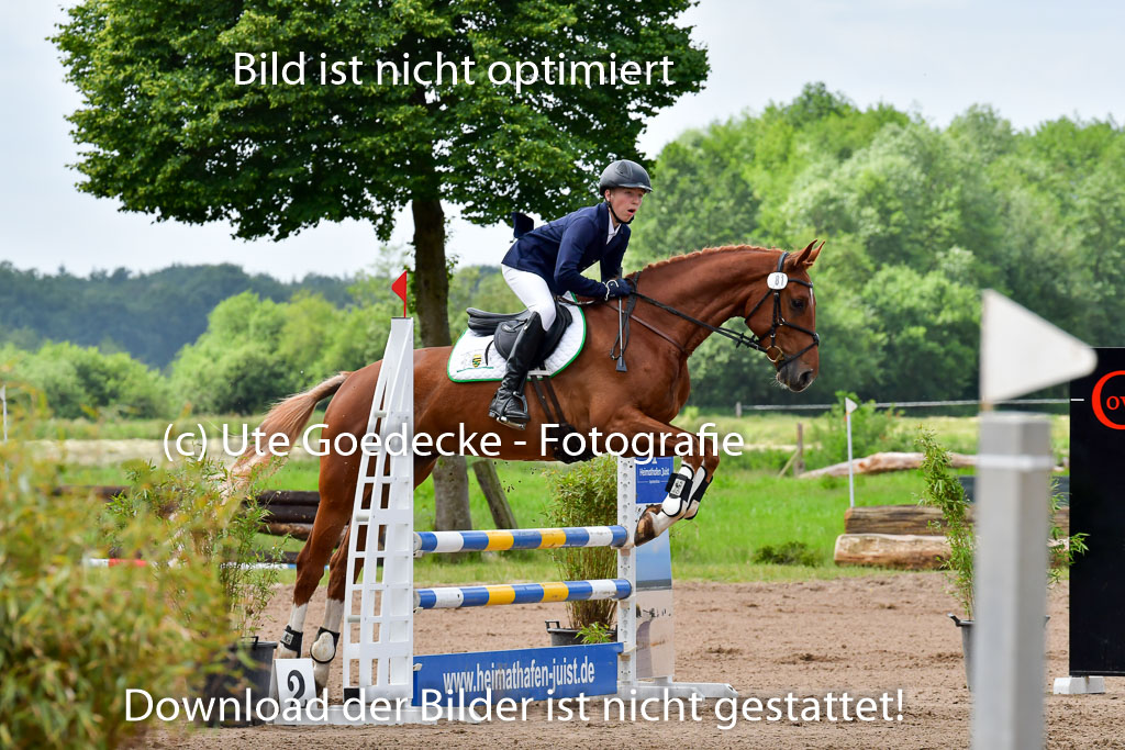 Goldene Schärpe PFerde  in Löningen  11+12.6.22 | 22062022 Springen 2 Abt _056