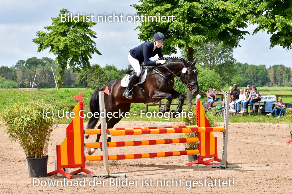 Goldene Schärpe PFerde  in Löningen  11+12.6.22 | 22062022 Springen 2 Abt _065
