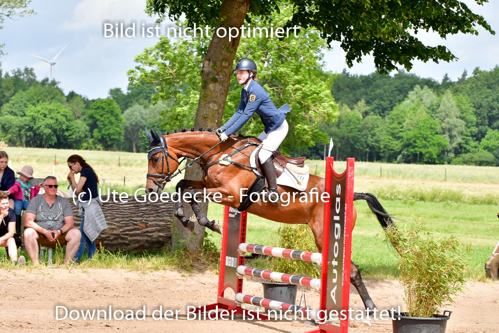 Goldene Schärpe PFerde  in Löningen  11+12.6.22 | 22062022 Springen 2 Abt _075