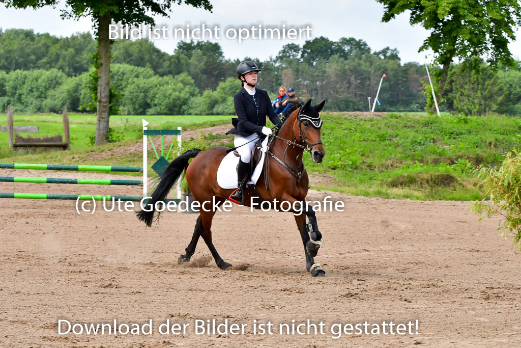 Goldene Schärpe PFerde  in Löningen  11+12.6.22 | 22062022 Springen 2 Abt _078