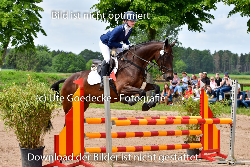 Goldene Schärpe PFerde  in Löningen  11+12.6.22 | 22062022 Springen 2 Abt _087