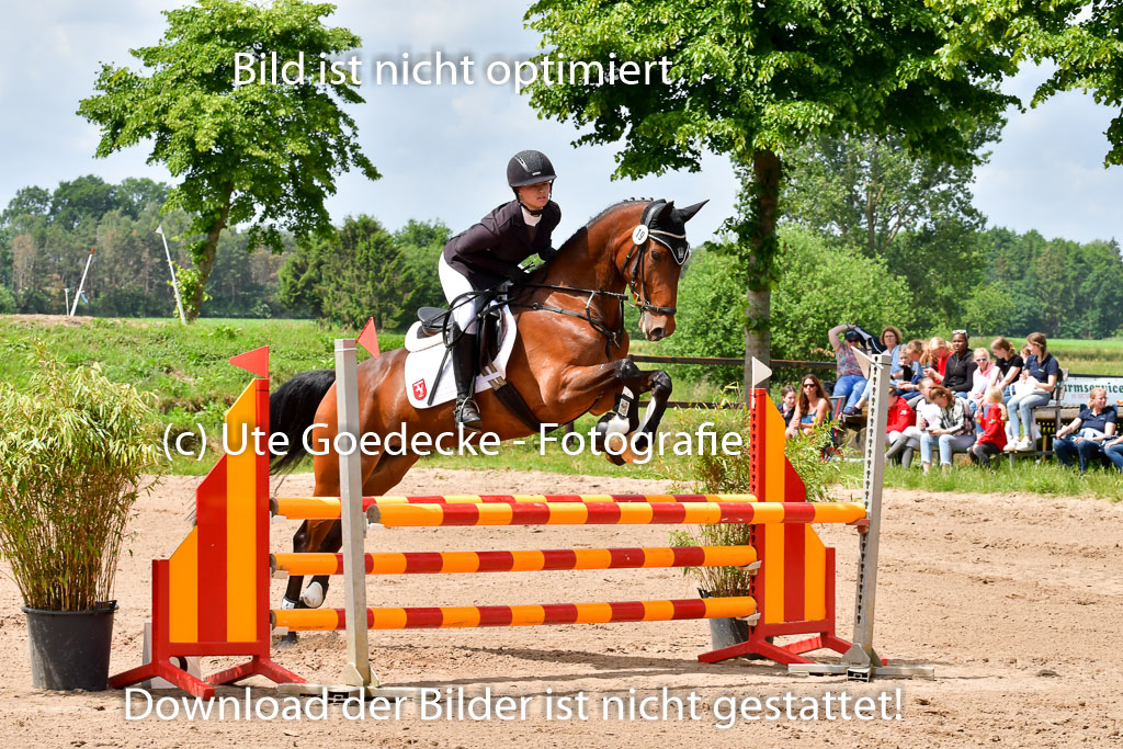 Goldene Schärpe PFerde  in Löningen  11+12.6.22 | 22062022 Springen 2 Abt _096