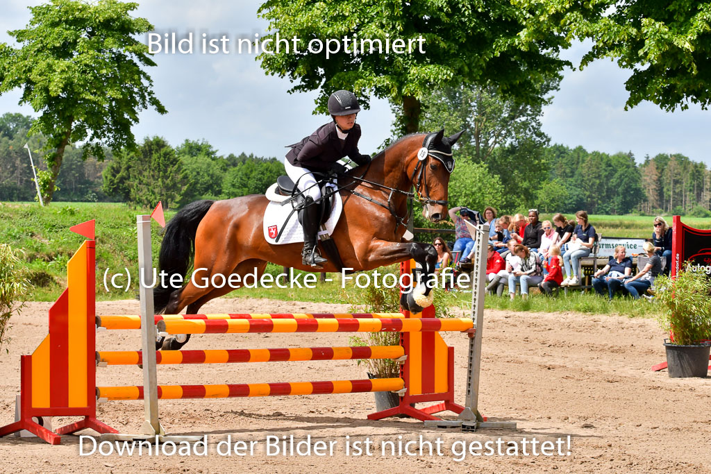 Goldene Schärpe PFerde  in Löningen  11+12.6.22 | 22062022 Springen 2 Abt _097