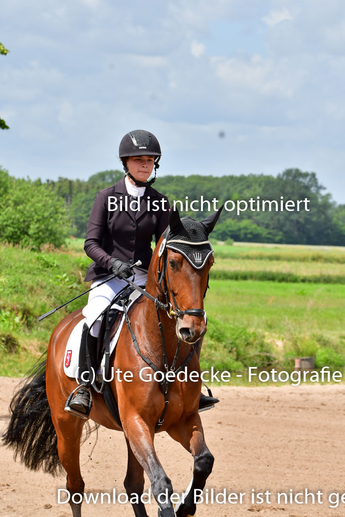 Goldene Schärpe PFerde  in Löningen  11+12.6.22 | 22062022 Springen 2 Abt _099