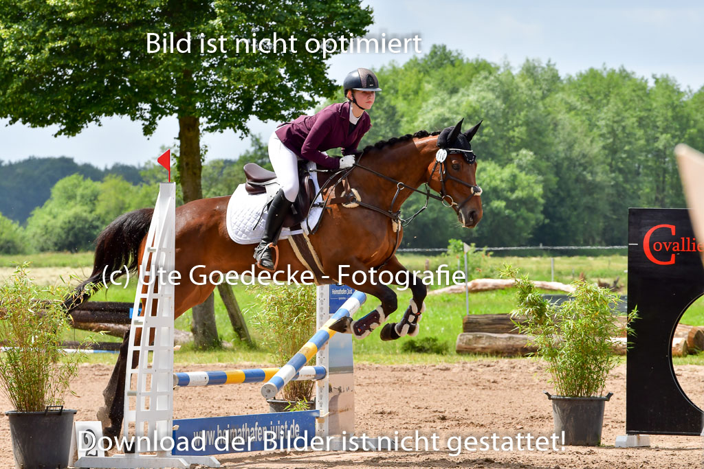 Goldene Schärpe PFerde  in Löningen  11+12.6.22 | 22062022 Springen 2 Abt _105
