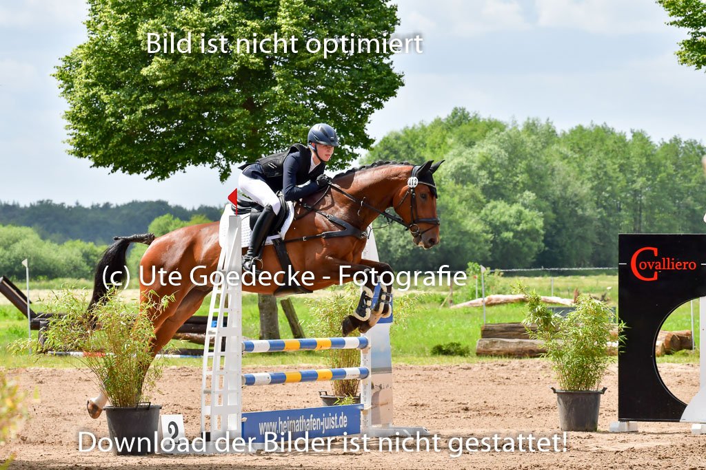 Goldene Schärpe PFerde  in Löningen  11+12.6.22 | 22062022 Springen 2 Abt _116