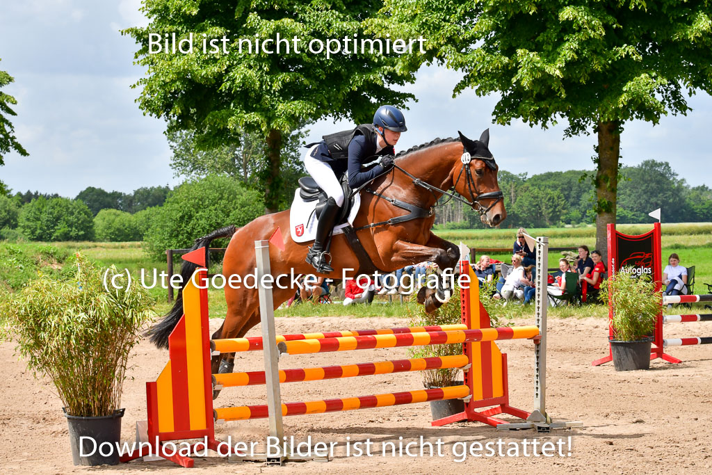 Goldene Schärpe PFerde  in Löningen  11+12.6.22 | 22062022 Springen 2 Abt _117