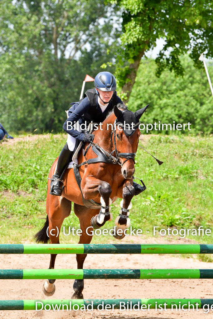 Goldene Schärpe PFerde  in Löningen  11+12.6.22 | 22062022 Springen 2 Abt _119