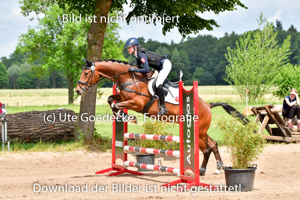 Goldene Schärpe PFerde  in Löningen  11+12.6.22 | 22062022 Springen 2 Abt _122