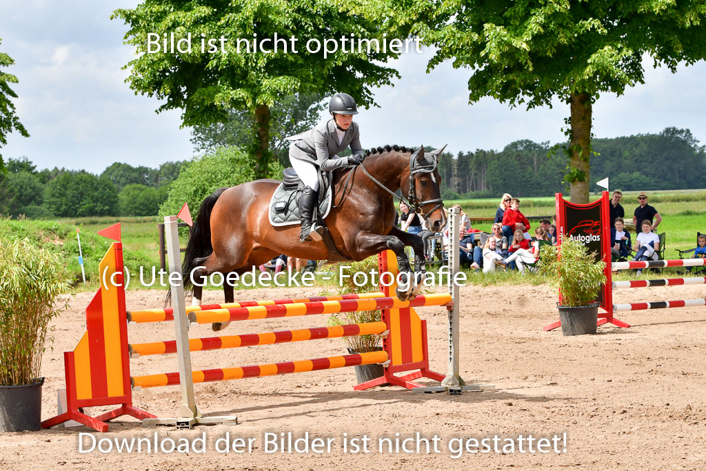 Goldene Schärpe PFerde  in Löningen  11+12.6.22 | 22062022 Springen 2 Abt _126