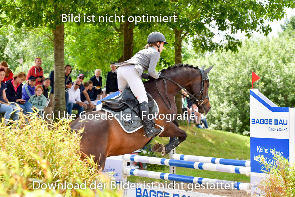 Goldene Schärpe PFerde  in Löningen  11+12.6.22 | 22062022 Springen 2 Abt _127
