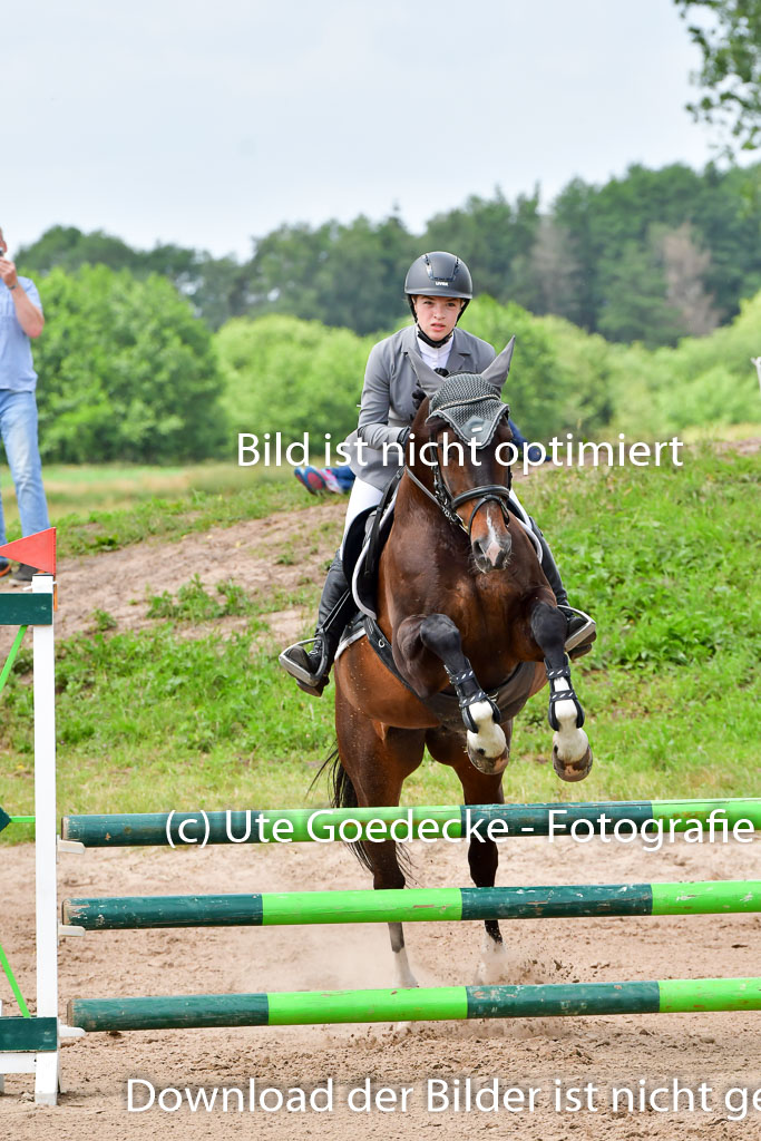 Goldene Schärpe PFerde  in Löningen  11+12.6.22 | 22062022 Springen 2 Abt _128