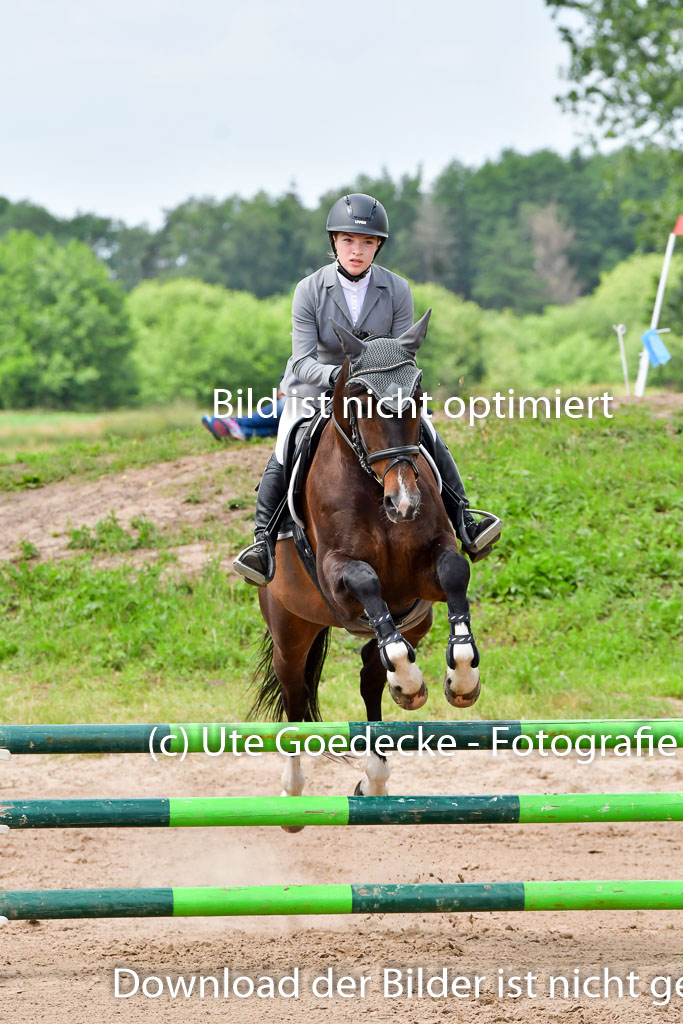 Goldene Schärpe PFerde  in Löningen  11+12.6.22 | 22062022 Springen 2 Abt _129