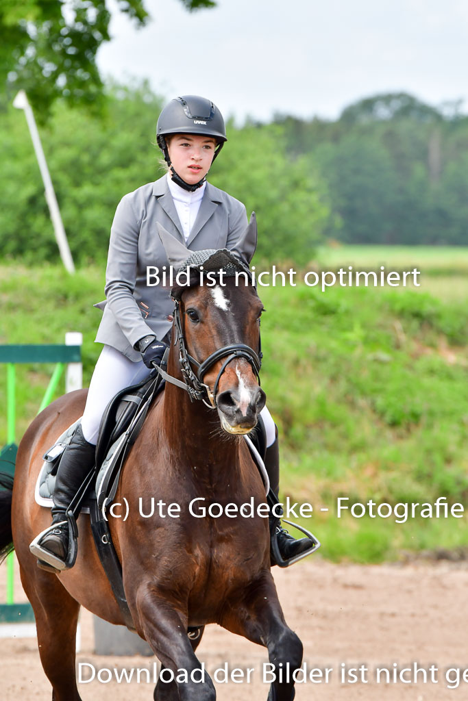 Goldene Schärpe PFerde  in Löningen  11+12.6.22 | 22062022 Springen 2 Abt _130