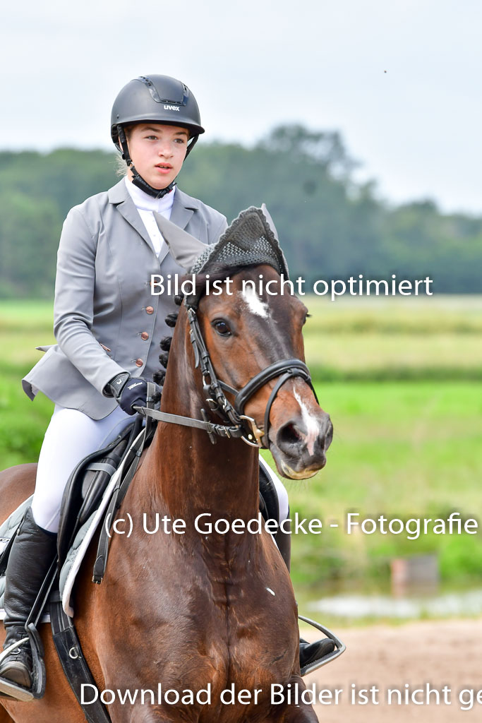 Goldene Schärpe PFerde  in Löningen  11+12.6.22 | 22062022 Springen 2 Abt _131