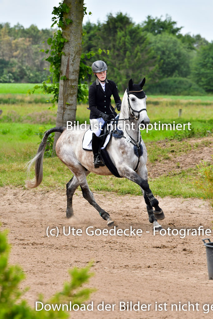 Goldene Schärpe PFerde  in Löningen  11+12.6.22 | 22062022 Springen 2 Abt _141