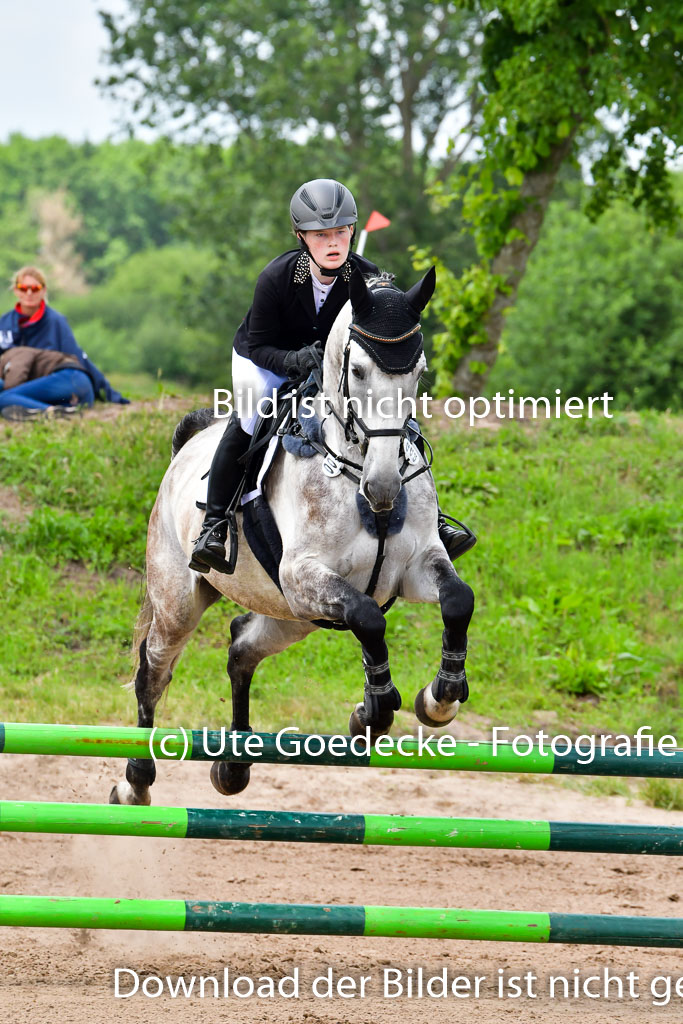 Goldene Schärpe PFerde  in Löningen  11+12.6.22 | 22062022 Springen 2 Abt _143