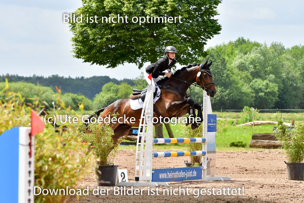 Goldene Schärpe PFerde  in Löningen  11+12.6.22 | 22062022 Springen 2 Abt _151 