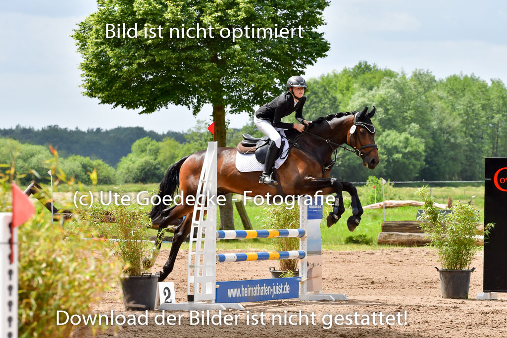 Goldene Schärpe PFerde  in Löningen  11+12.6.22 | 22062022 Springen 2 Abt _152