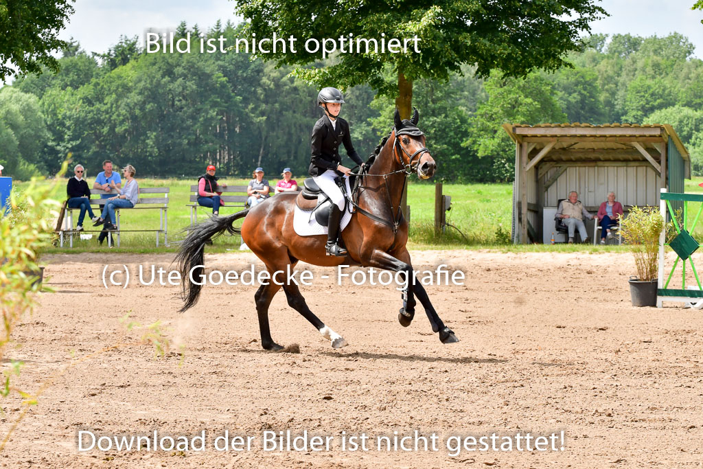 Goldene Schärpe PFerde  in Löningen  11+12.6.22 | 22062022 Springen 2 Abt _153 