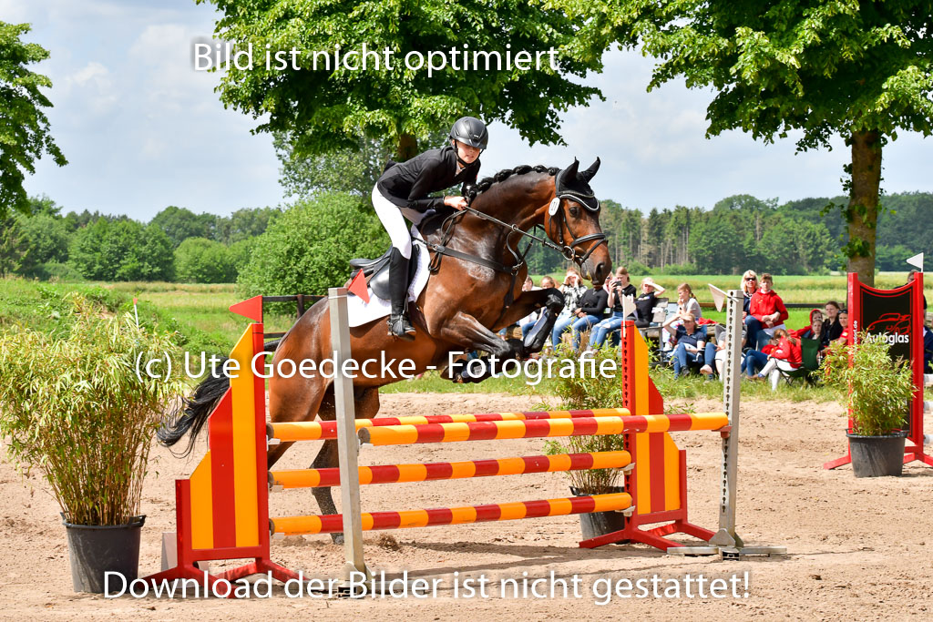 Goldene Schärpe PFerde  in Löningen  11+12.6.22 | 22062022 Springen 2 Abt _155