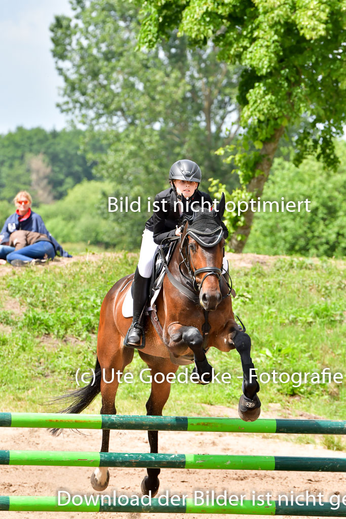 Goldene Schärpe PFerde  in Löningen  11+12.6.22 | 22062022 Springen 2 Abt _159