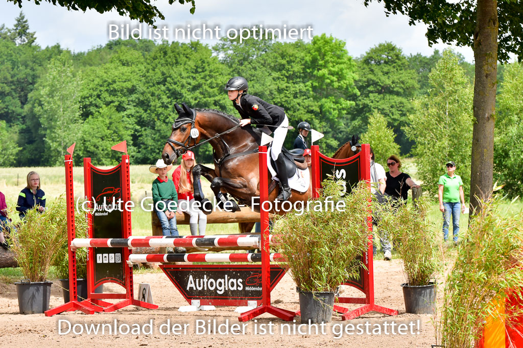 Goldene Schärpe PFerde  in Löningen  11+12.6.22 | 22062022 Springen 2 Abt _161
