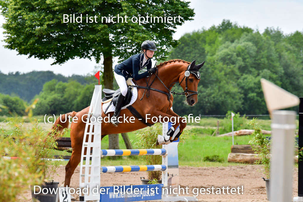 Goldene Schärpe PFerde  in Löningen  11+12.6.22 | 22062022 Springen 2 Abt _165