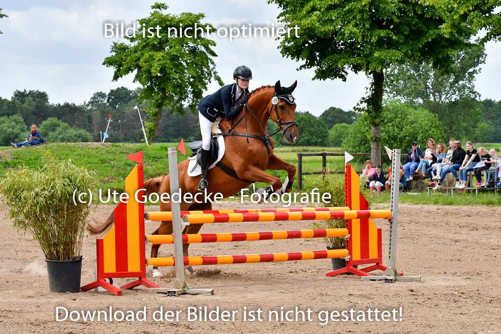 Goldene Schärpe PFerde  in Löningen  11+12.6.22 | 22062022 Springen 2 Abt _168