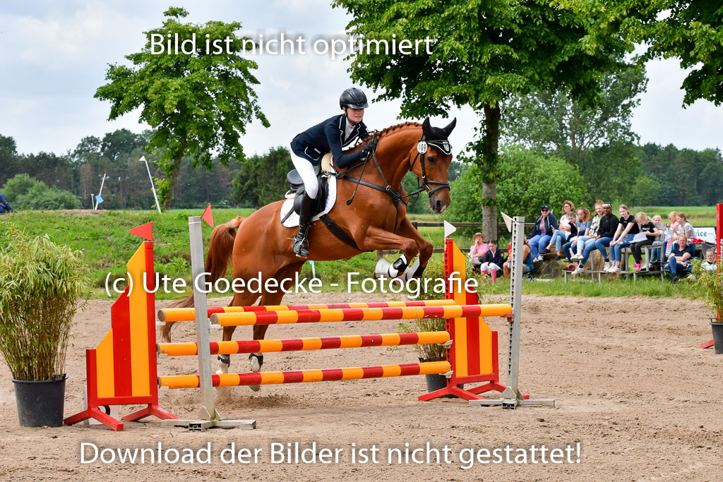 Goldene Schärpe PFerde  in Löningen  11+12.6.22 | 22062022 Springen 2 Abt _169